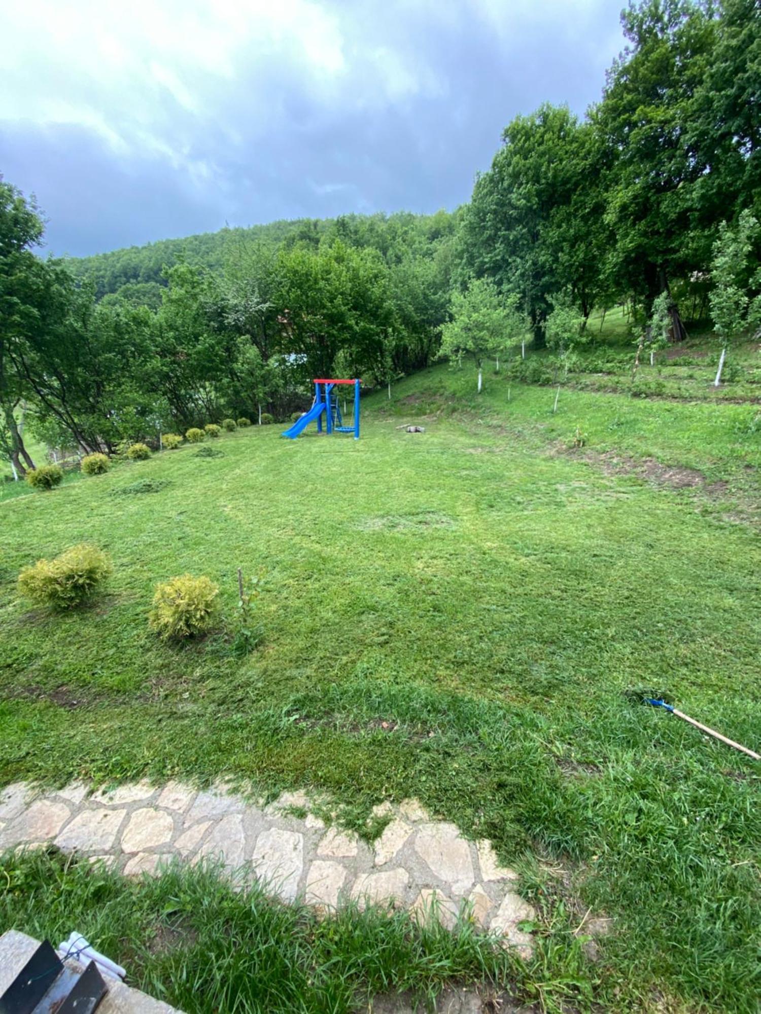 Lux Nature * Saraievo
