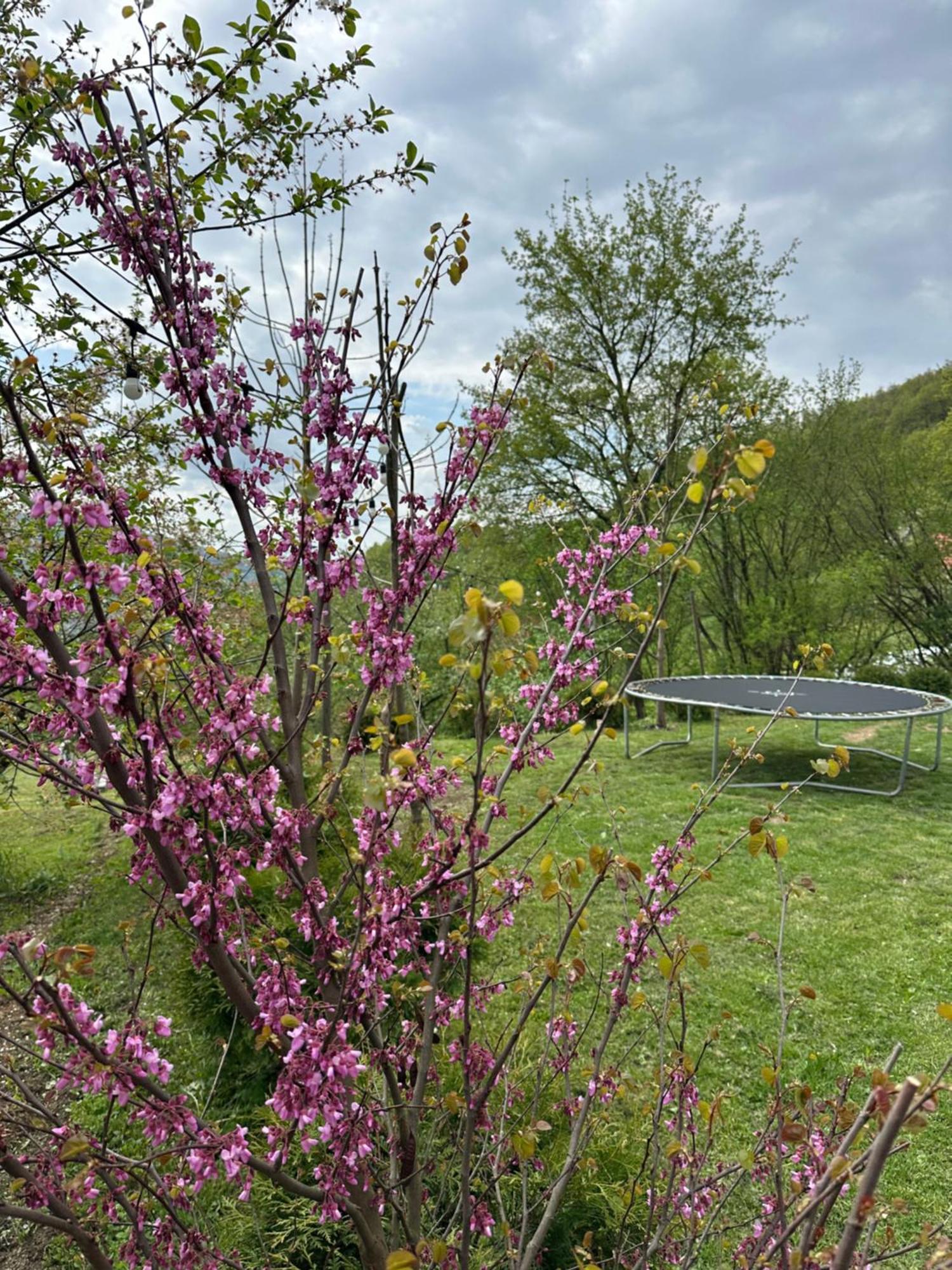 Lux Nature Villa Saraievo